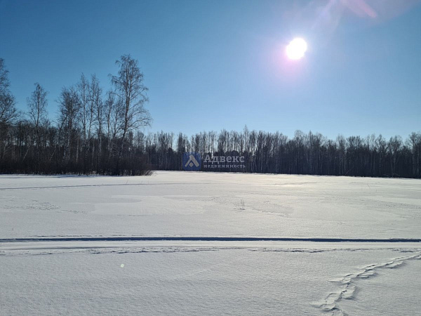 Участок, 5.83 сот. Участок, 5.83 сот.