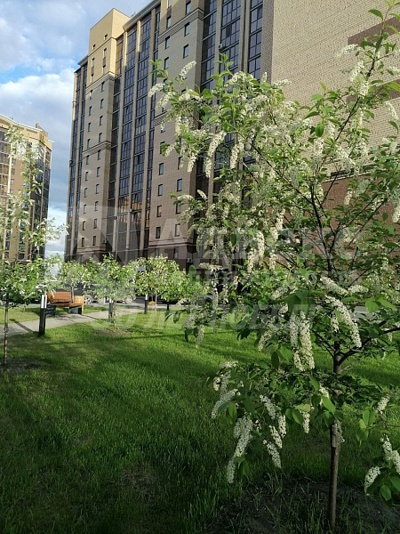 1-к квартира, 34 кв.м.