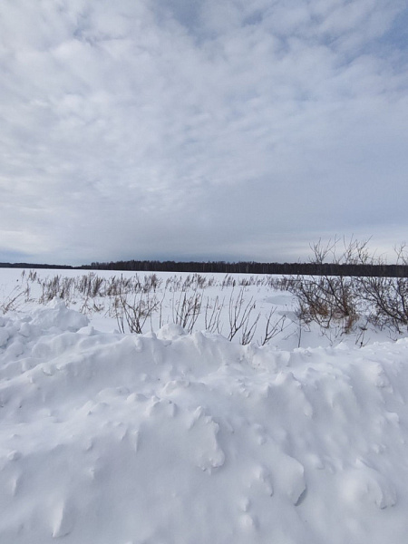 Участок, 14 сот.