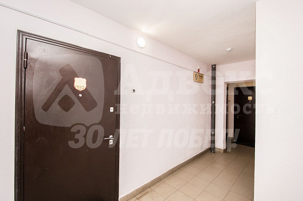 Квартира студия, 24.5 м²