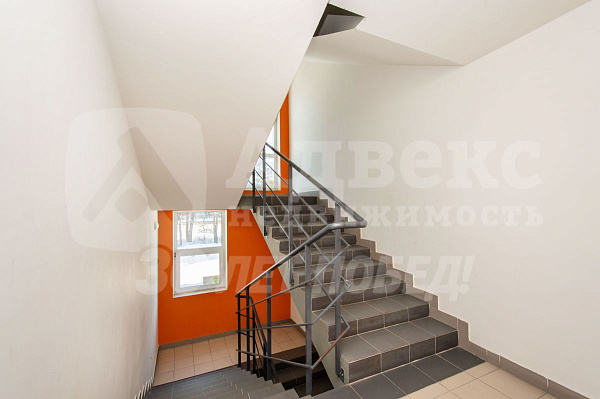 Студия, 24 кв.м.