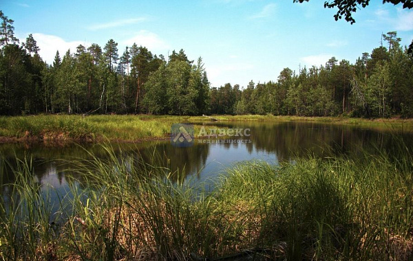 Участок 19.28 сот.