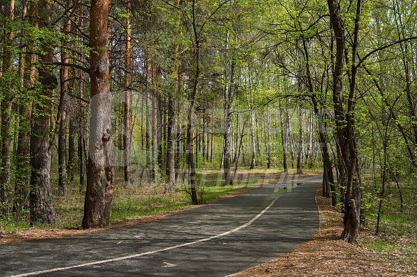 2-к квартира, 83 кв.м.