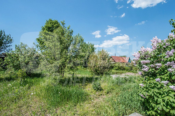 Участок 8 сот.