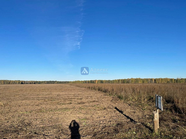 Участок, 10 сот.