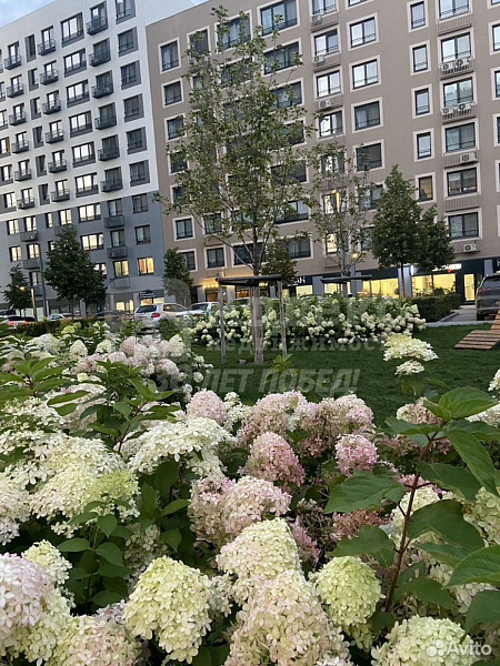 2-к квартира, 57 кв.м.