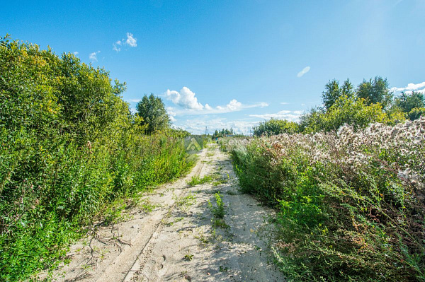 Участок, 10 сот.