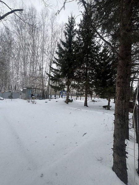 Участок 6 сот.