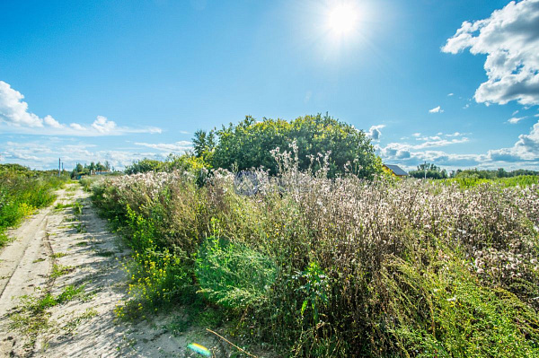 Участок, 10 сот.