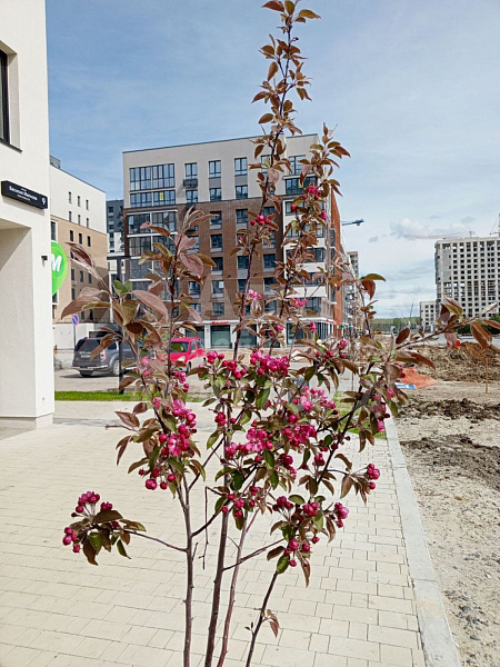 Квартира 1-комн., 35.5 м²