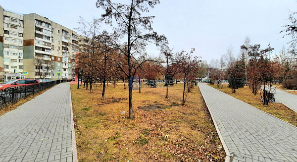 Квартира 1-комн., 33.5 м²