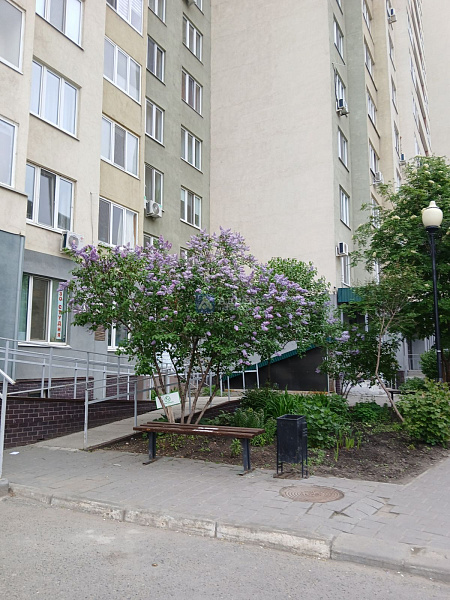 3-к квартира, 77 кв.м.