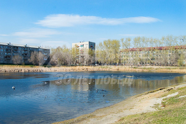 Квартира 1-комн., 28.4 м²