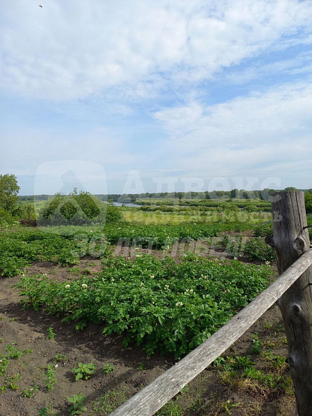 Участок 4.68 сот.