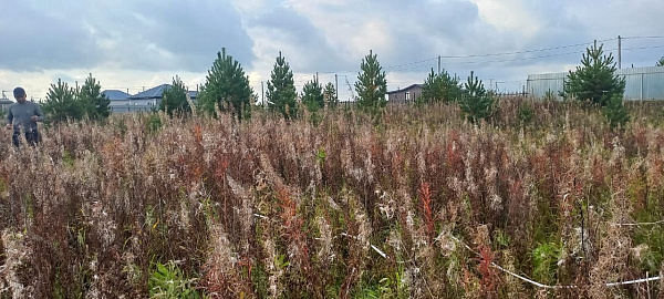 Участок, 6 сот.