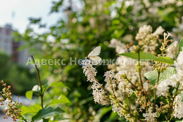 2-к квартира, 68 кв.м. 2-к квартира, 68 кв.м.