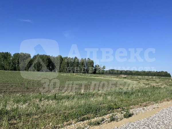 Участок 30 сот.