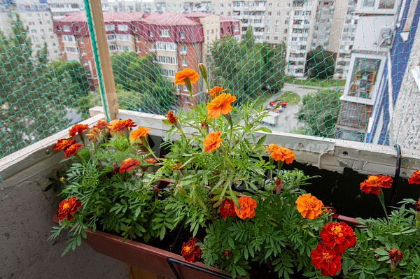 1-к квартира, 33 кв.м.