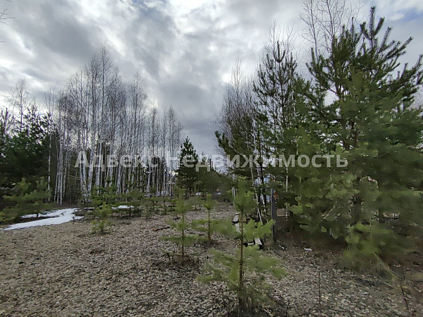 Участок 14.5 сот.