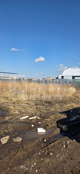 Коммерческая земля 55 сот.