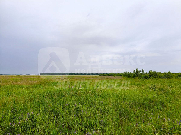 Участок, 7.27 сот.