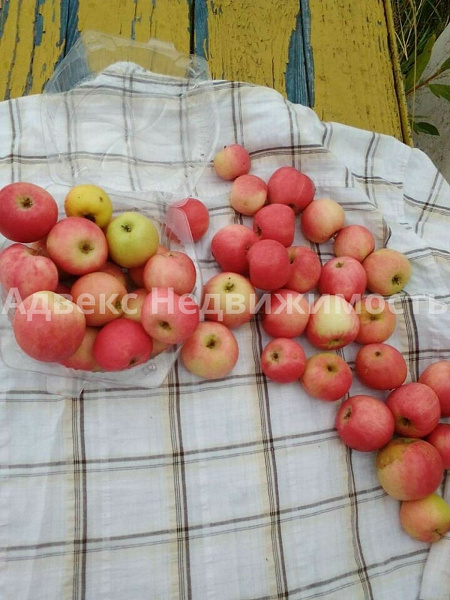 Участок, 7.8 сот.