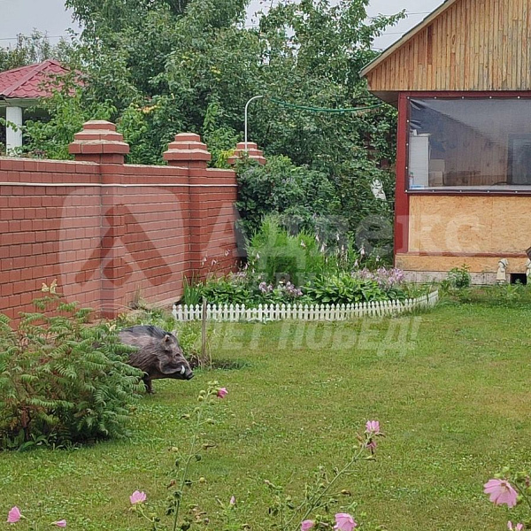 Коттедж 240 м²