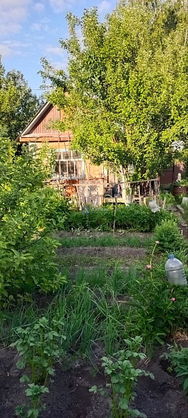 Дом 20 м² Дом 20 м²