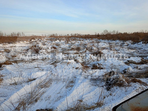 Участок 220 сот.