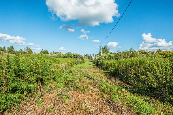 Участок 10 сот.