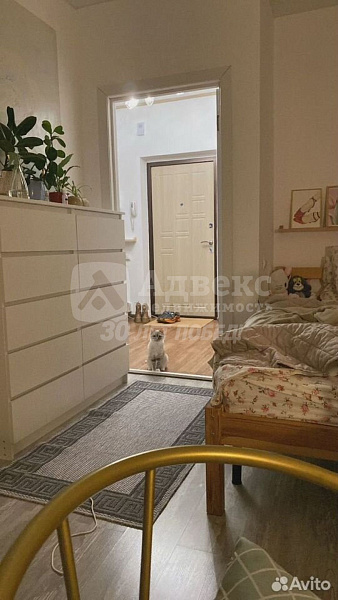 Квартира 1-комн., 34.4 м²
