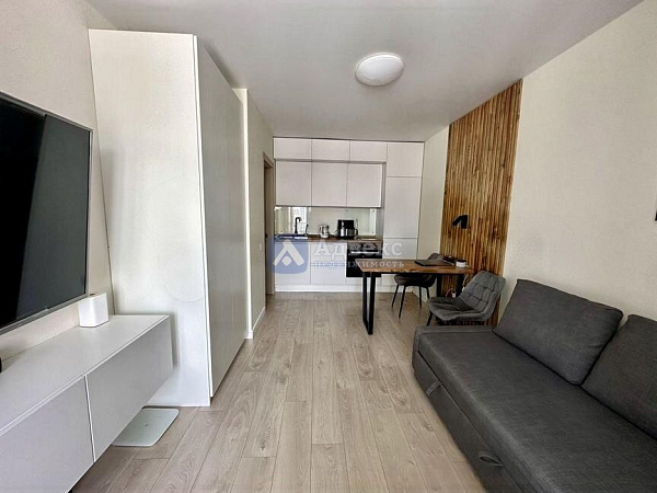 Квартира студия, 24 м²