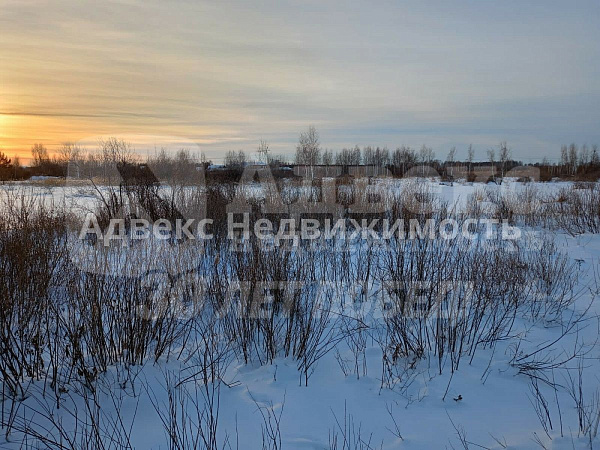 Участок 220 сот. 