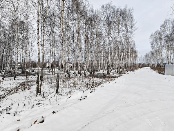 Участок, 10 сот.