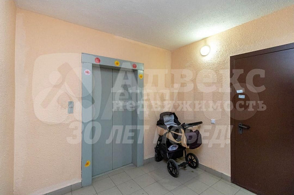 3-к квартира, 67 кв.м.