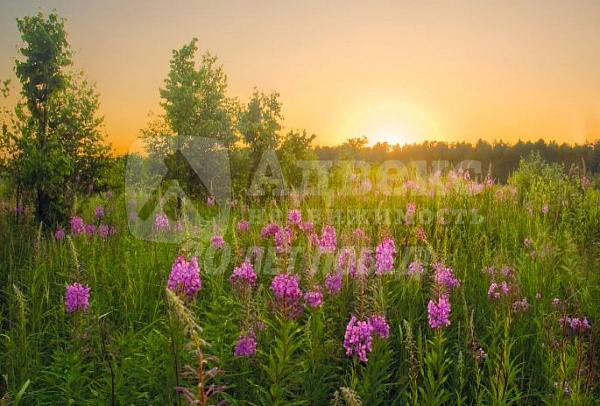 Участок 17.93 сот.