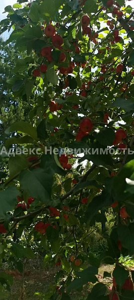 Коттедж 210 м²