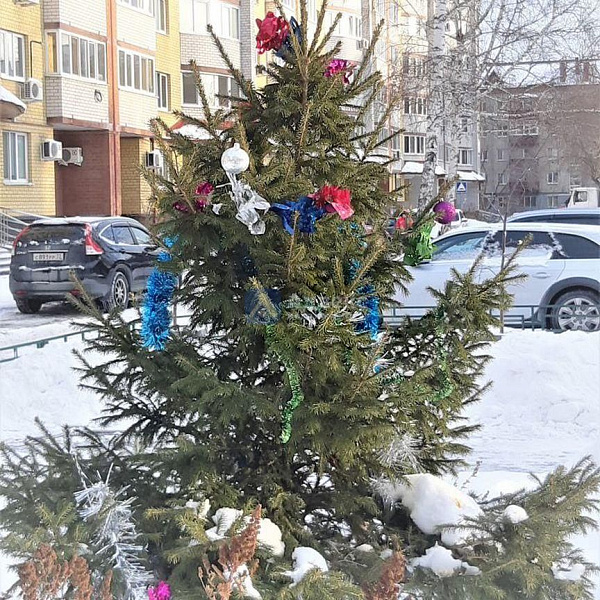 Квартира 2-комн., 47 м² Квартира 2-комн., 47 м²