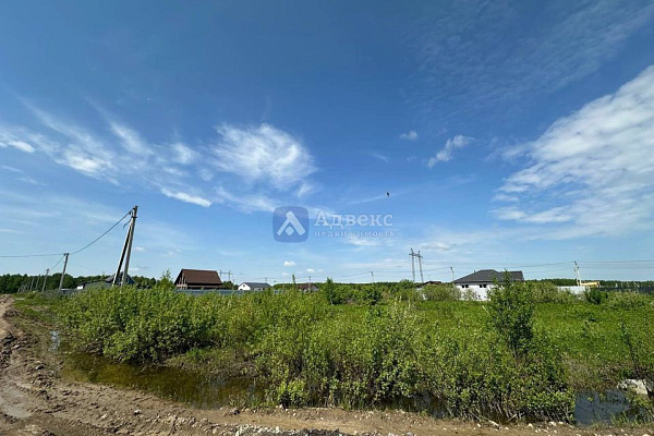 Участок 12.5 сот.