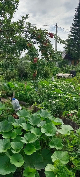 Дом 20 м² Дом 20 м²