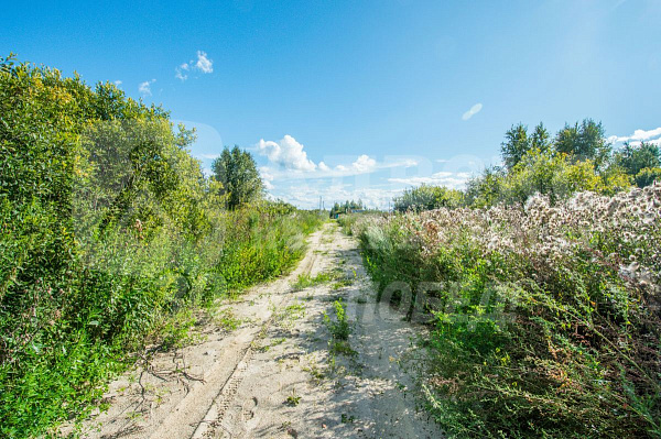 Участок, 10 сот.