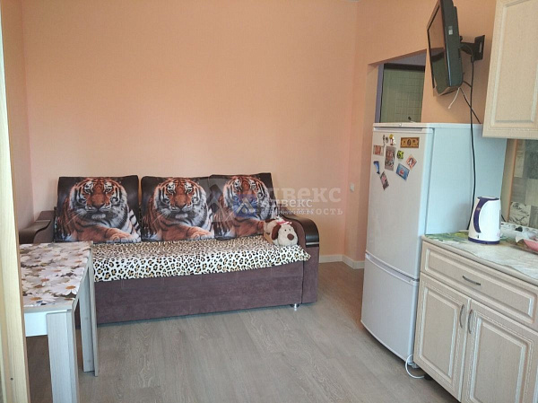 Студия, 17 кв.м. Студия, 17 кв.м.