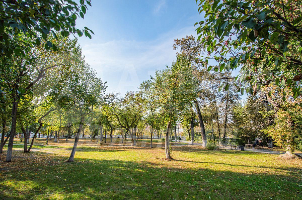 Квартира 1-комн., 37.9 м²