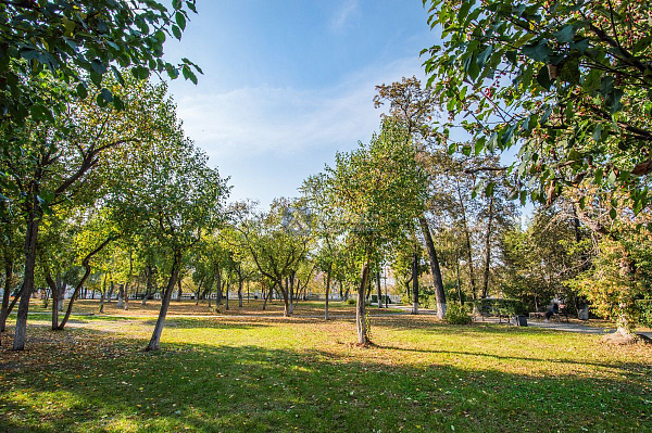 3-к квартира, 51 кв.м.