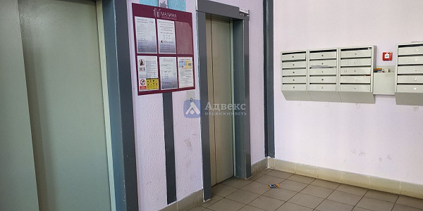 3-к квартира, 77 кв.м.