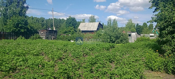 Участок 13.5 сот.