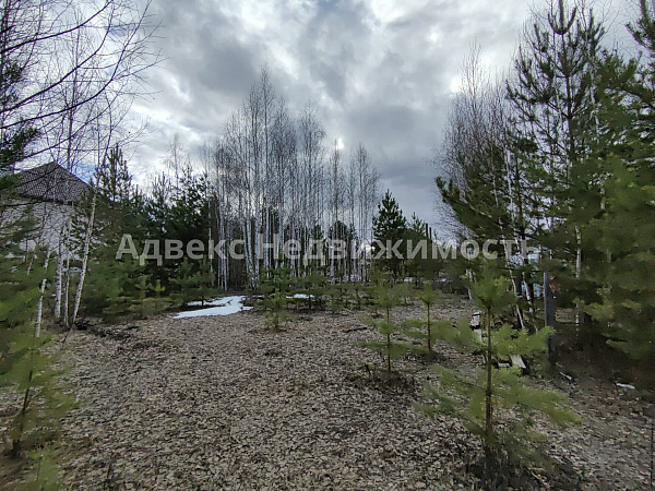 Участок 14.5 сот.