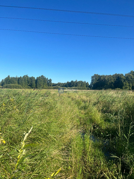 Участок, 5 сот.