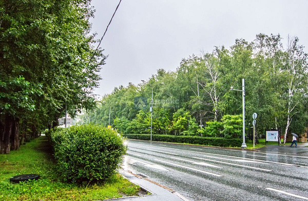 Квартира 1-комн., 42.2 м²