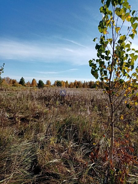 Участок 18.9 сот.